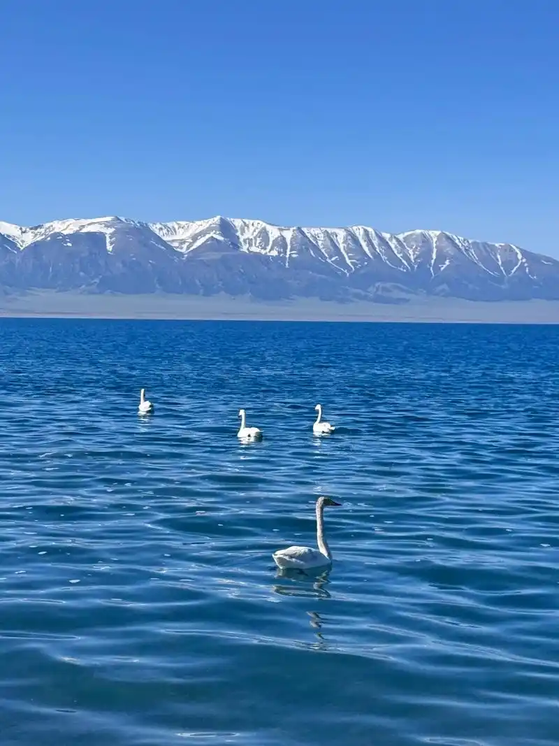 赛里木湖